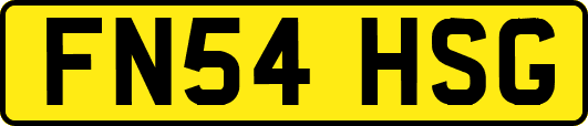 FN54HSG