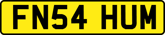 FN54HUM