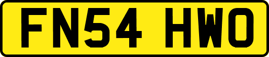 FN54HWO