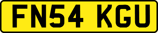FN54KGU