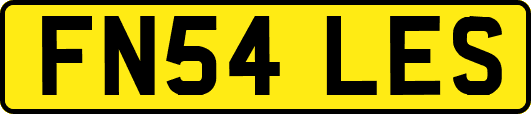 FN54LES