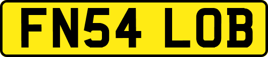 FN54LOB