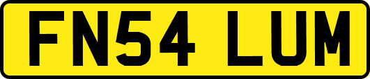 FN54LUM