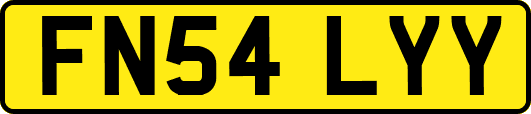 FN54LYY