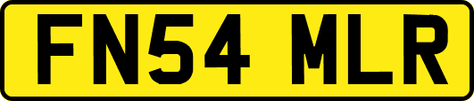 FN54MLR