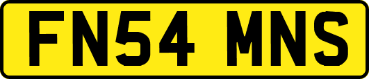 FN54MNS