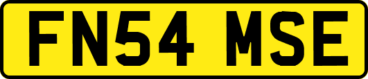 FN54MSE