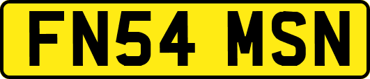 FN54MSN