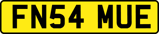 FN54MUE