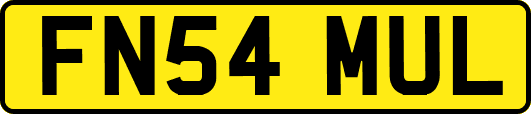 FN54MUL