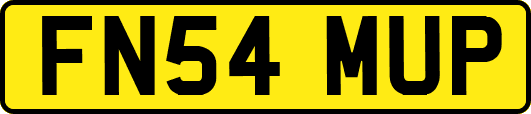 FN54MUP