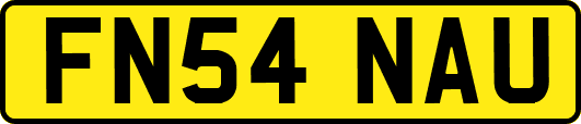 FN54NAU