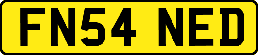 FN54NED