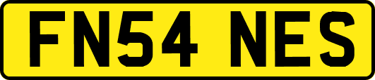 FN54NES