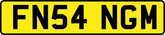 FN54NGM