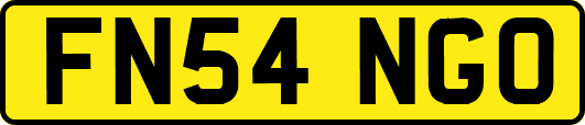 FN54NGO