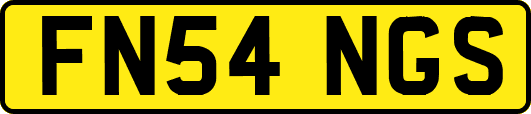 FN54NGS