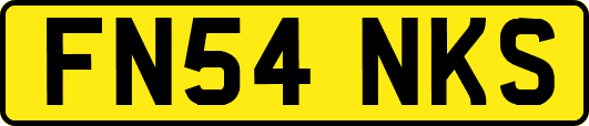 FN54NKS