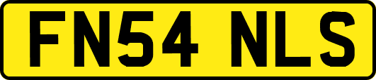 FN54NLS