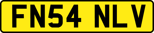 FN54NLV