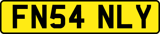 FN54NLY