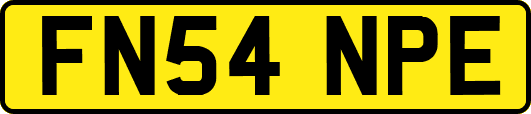 FN54NPE