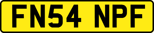 FN54NPF