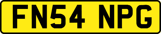 FN54NPG