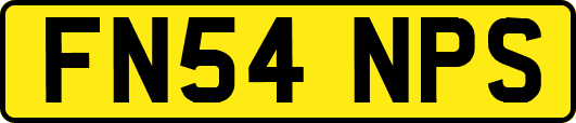 FN54NPS