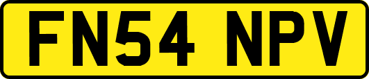 FN54NPV