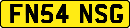 FN54NSG