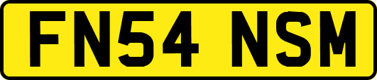 FN54NSM