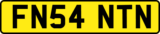 FN54NTN