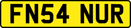 FN54NUR