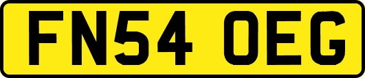 FN54OEG