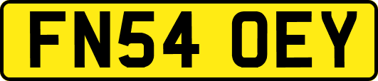 FN54OEY