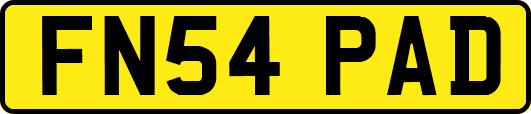 FN54PAD