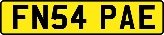 FN54PAE