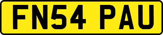 FN54PAU
