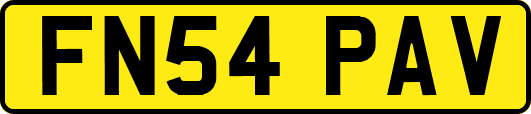 FN54PAV