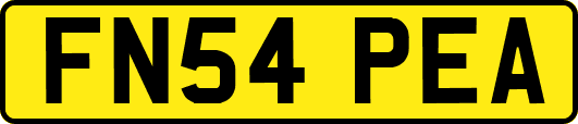 FN54PEA