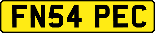 FN54PEC