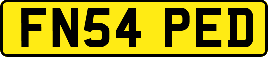 FN54PED