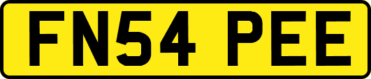 FN54PEE