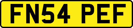 FN54PEF