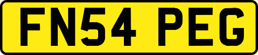 FN54PEG