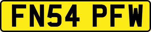 FN54PFW