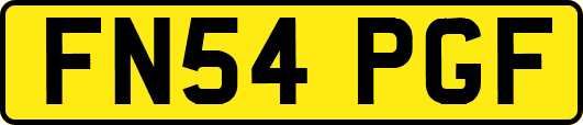 FN54PGF