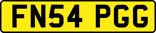 FN54PGG