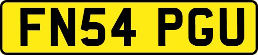 FN54PGU